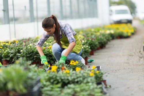 Landscape gardening in Lee with patio planting and tidy borders
