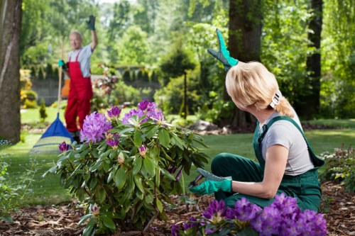 Front yard landscaping in Lee with fresh plantings and clean borders