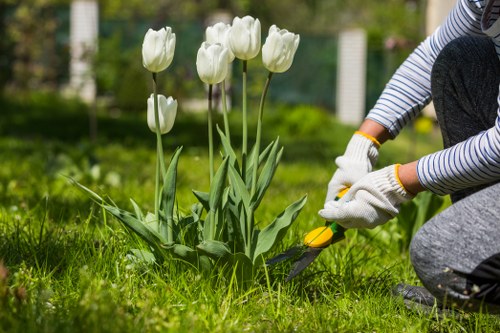 Professional gardening services in Lee with lawn and border care