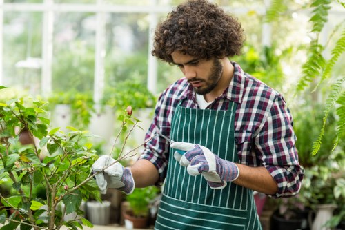 Professional garden health and safety standards for outdoor services