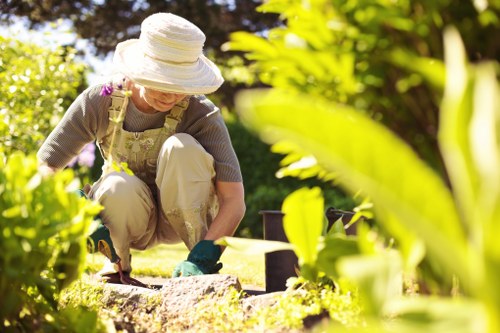 Sharp mower blades and proper cutting technique for Lee lawns