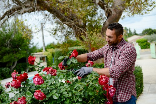 Complaint procedure for a gardening service in Lee