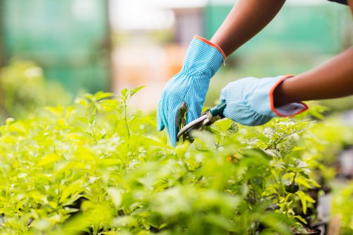 Gardeners Lee service terms and conditions introduction