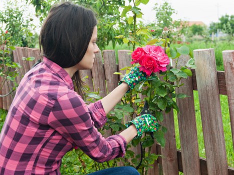 Lush residential lawn care in Lee with healthy green grass