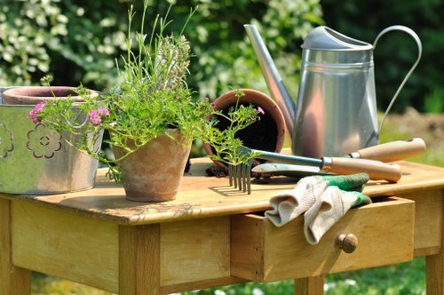 Residential and commercial lawn mowing service in Lee