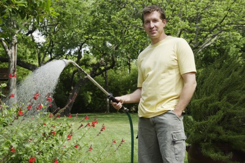 Professional mowing and maintenance for lawn care in Lee