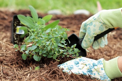 Organised handling of a gardening service complaint