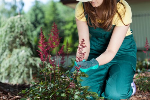 Accepted payment methods for Gardeners Lee services