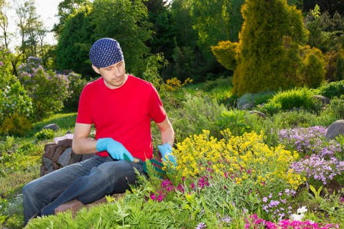 Inclusive gardening services information for the Lee area