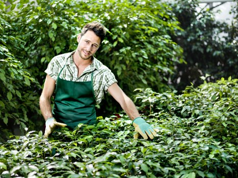 Gardeners Lee improving a front garden with seasonal plants