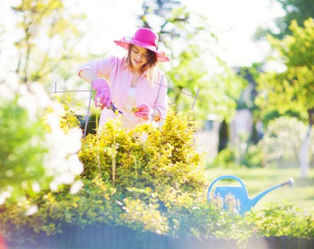 Seasonal lawn maintenance and watering in Lee