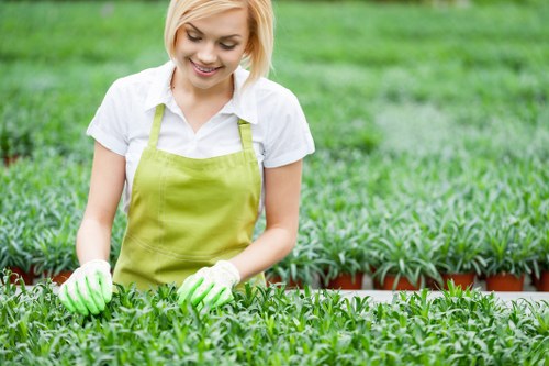 Regular hedge trimming in Lee for healthy evergreen growth