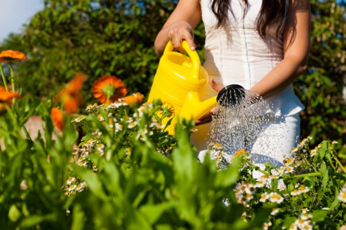 Supplier audit and compliance review for Gardeners Lee