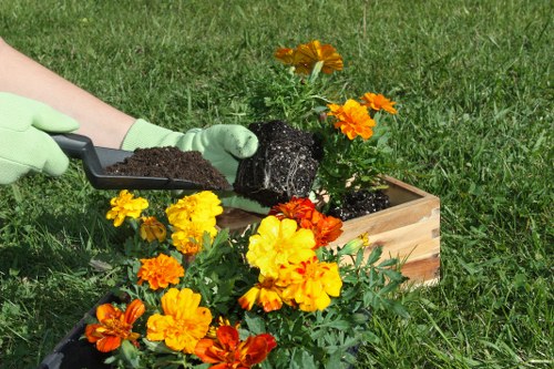 Gardeners Lee pricing for busy area access and hedge work