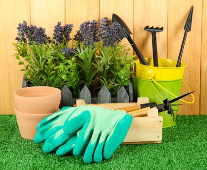 Weed control and lawn renewal services in Lee