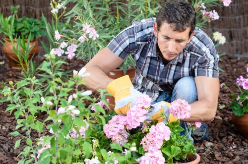 Gardeners Lee service approach for healthy and tidy gardens