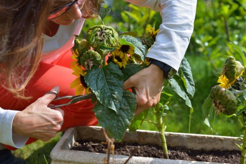 Sustainable gardening team promoting recycling and lower emissions
