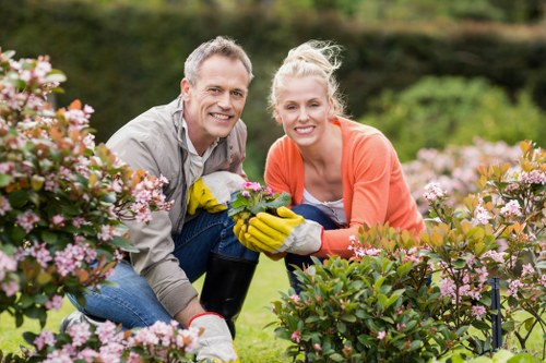 Professional garden waste removal and tidy-up in Lee