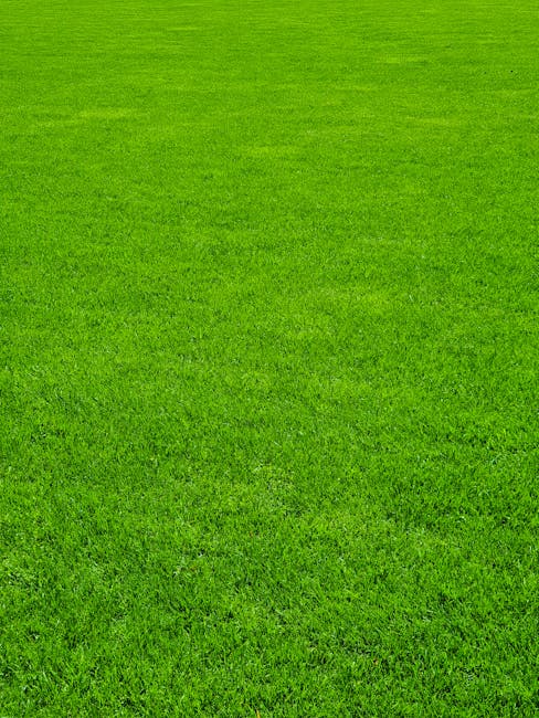 A lush, well-maintained lawn featuring vibrant green grass with a uniform texture, indicative of regular mowing and care. The grass appears healthy and dense, with visible blade patterns created by tr
